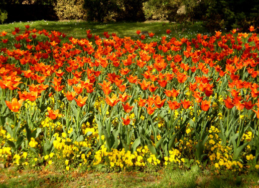 612592 (a): :2640x1910